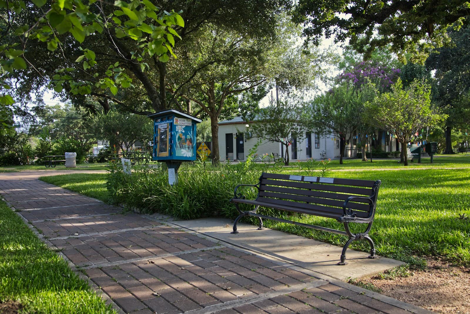 A brick-paved park path with a black bench, a small free library box and shade trees.