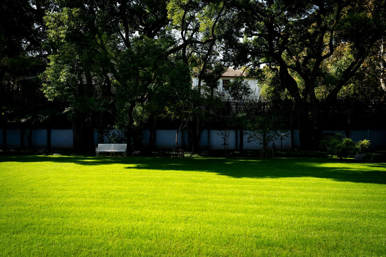 A neatly mown green lawn with a white bench and a fence line under large shade trees.