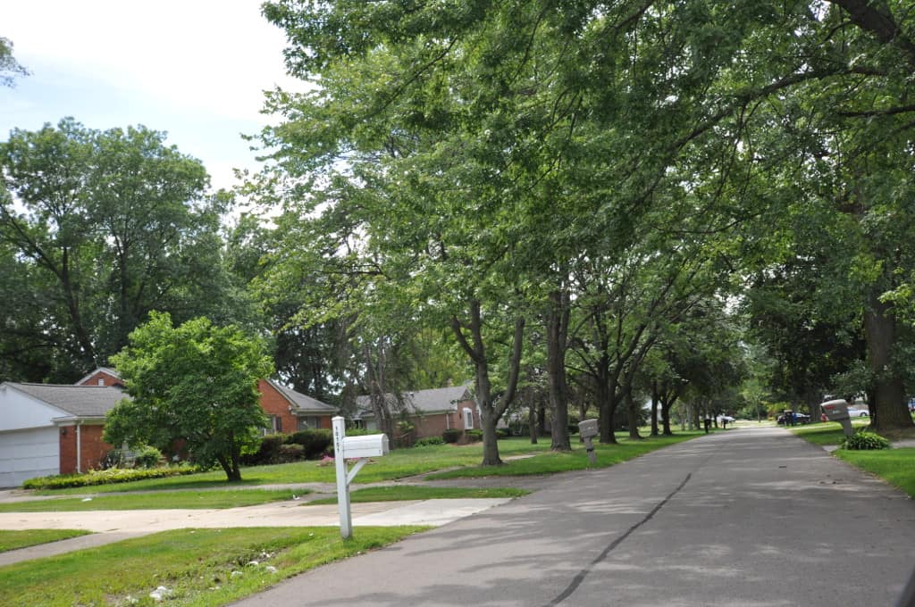 A quiet tree-shaded residential street in Lathrup Village, Michigan, with brick ranch houses and mailboxes along the lawns.