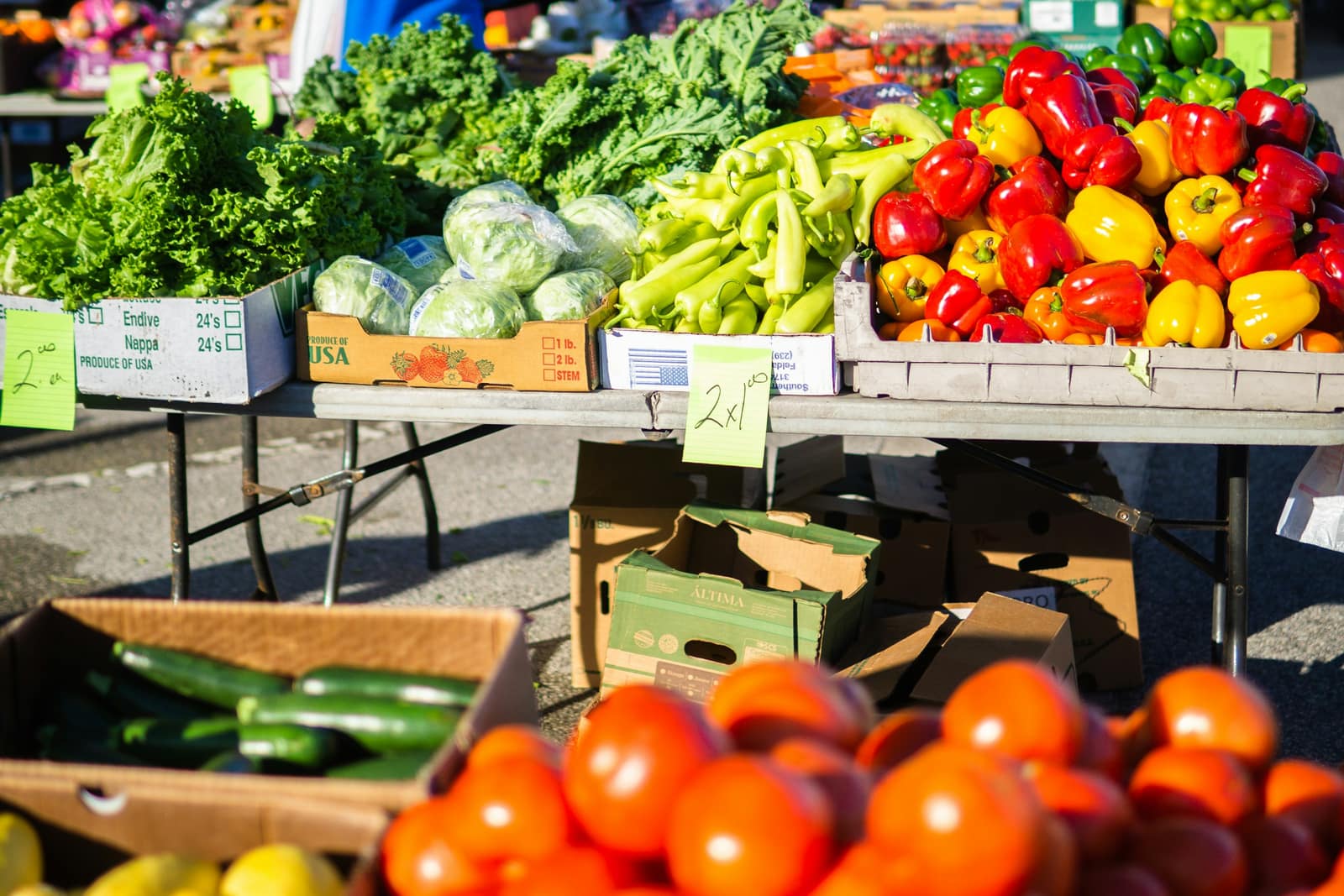 Folding tables at an outdoor farmers market piled with cabbages, kale, peppers, cucumbers and tomatoes in morning sun.