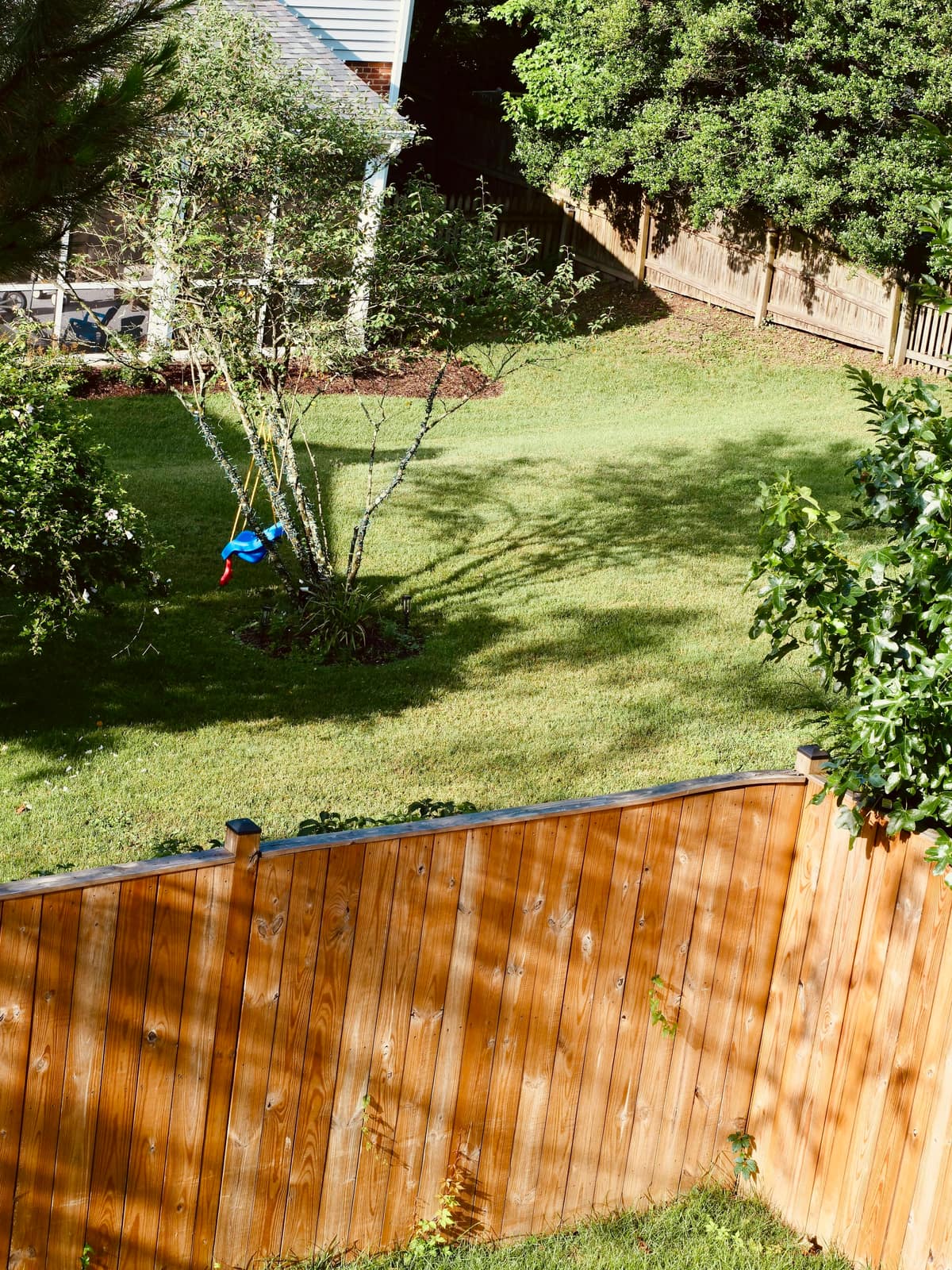 A neatly mown suburban backyard seen over a wooden fence, with a child swing hanging from a small tree in the far corner.