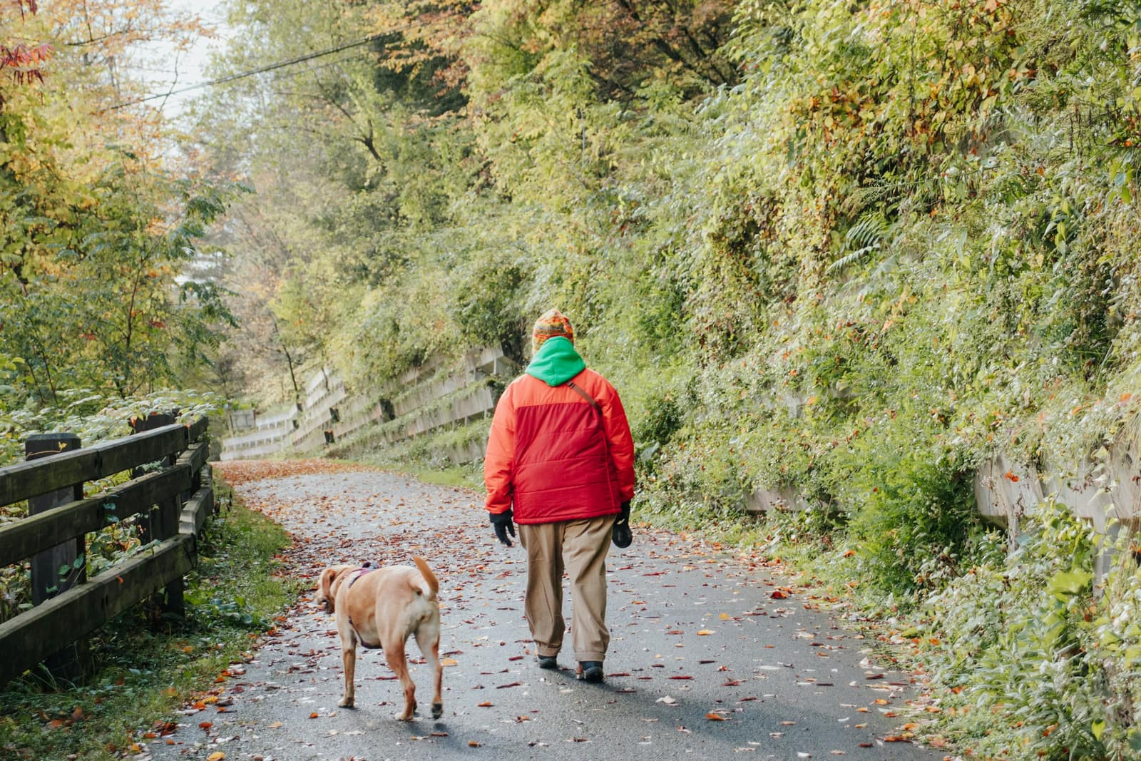 A person in a red jacket walking a tan dog along a leaf-covered paved trail in autumn woods.