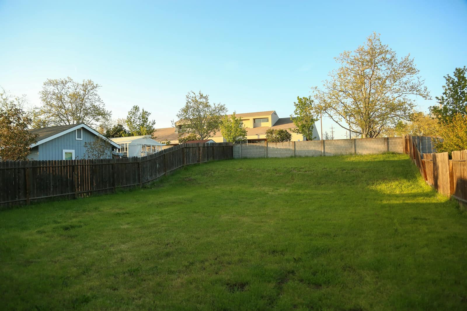 A freshly mown grassy backyard with a wooden fence and neighbouring houses behind it.