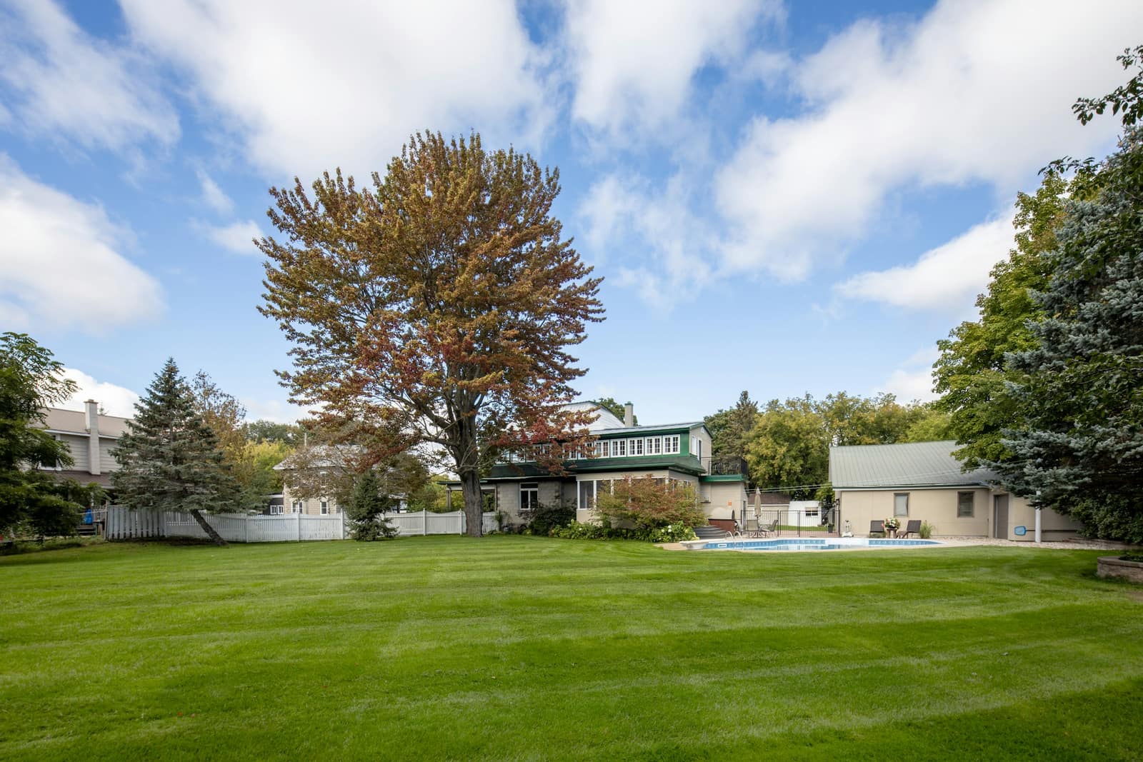 A wide, freshly mown back lawn with a tall maple tree and a house with a swimming pool at the far end.